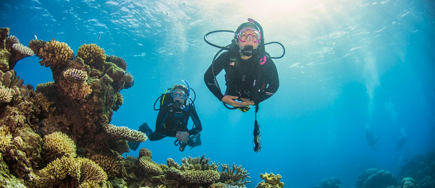 5 Day Learn to Dive Course